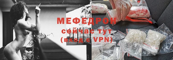 индика Козельск