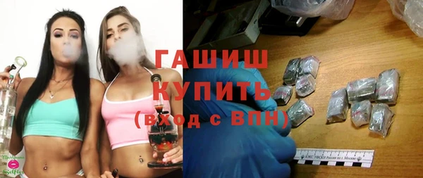 индика Козельск