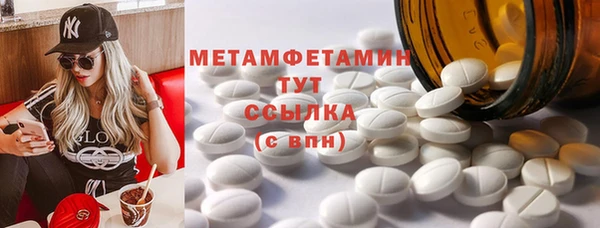 индика Козельск