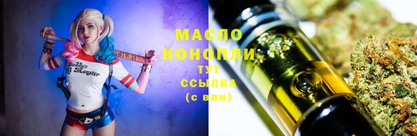 индика Козельск