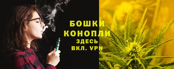 индика Козельск