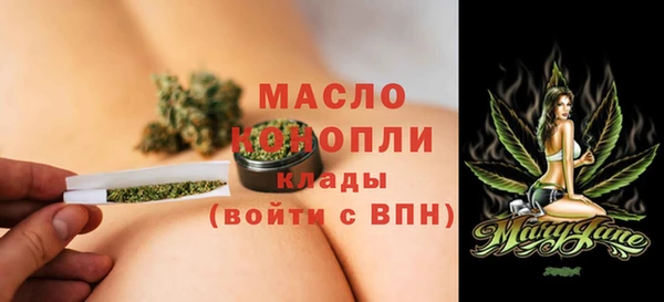 индика Козельск