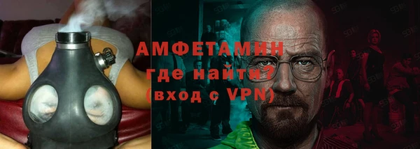 индика Козельск
