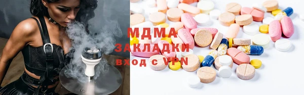 индика Козельск