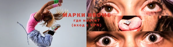 индика Козельск