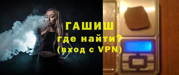 индика Козельск