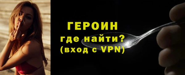 индика Козельск