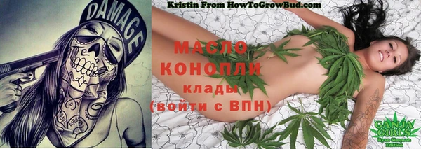 индика Козельск