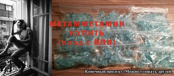 индика Козельск