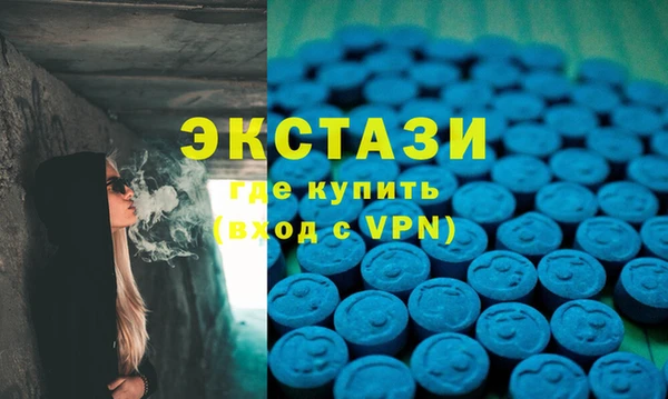 индика Козельск