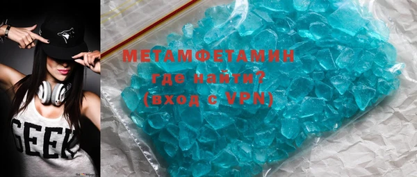 индика Козельск