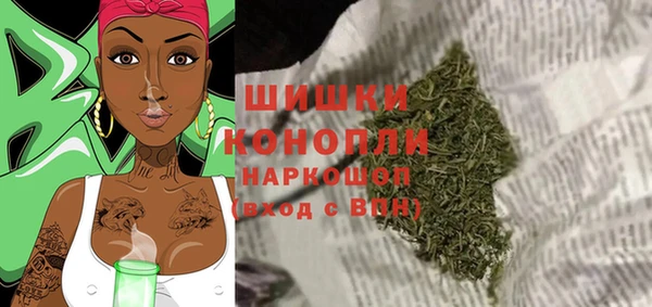 индика Козельск