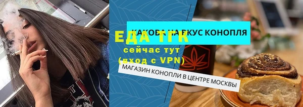 индика Козельск