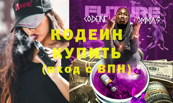 индика Козельск