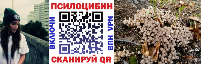 Купить  Духовщина  Псилоцибиновые грибы ЛСД 